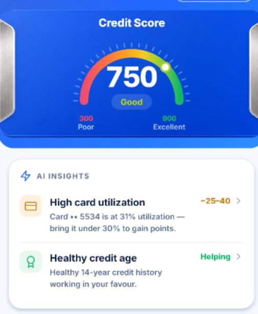 Credit Saathi Platform Screenshot